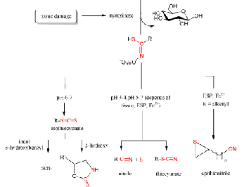 ajboc-v1-id1004-g002