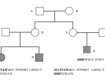 Blood Disorders id1063