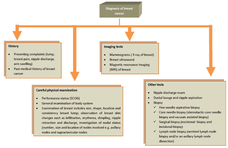 Breast Cancer Treatment Flow Chart