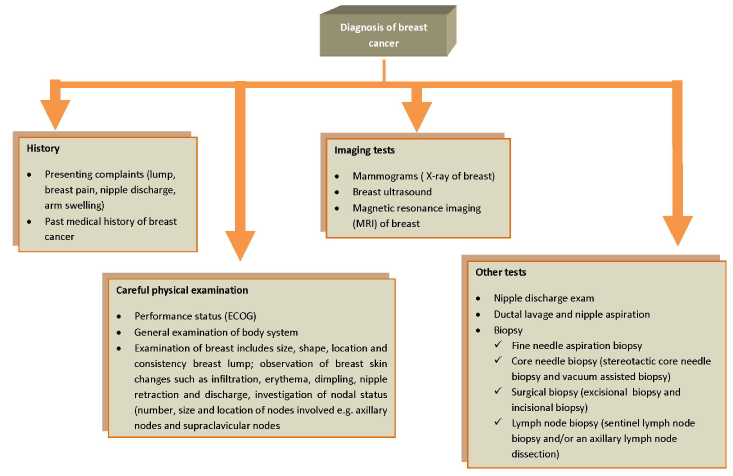 Types Of Breast Cancer Chart