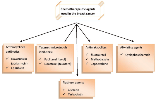 Types Of Breast Cancer Chart