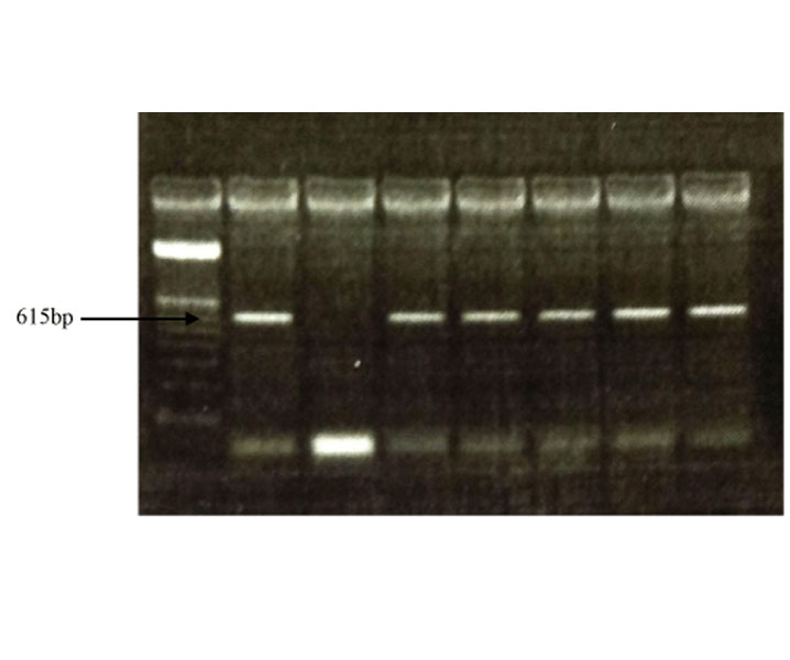 ajphe-v1-id1006-g001